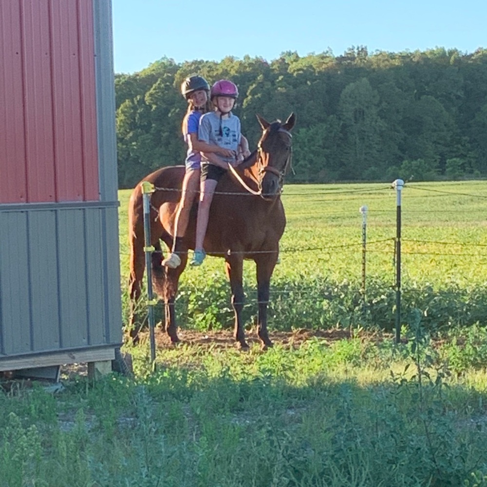 Meet your Posher, Reese